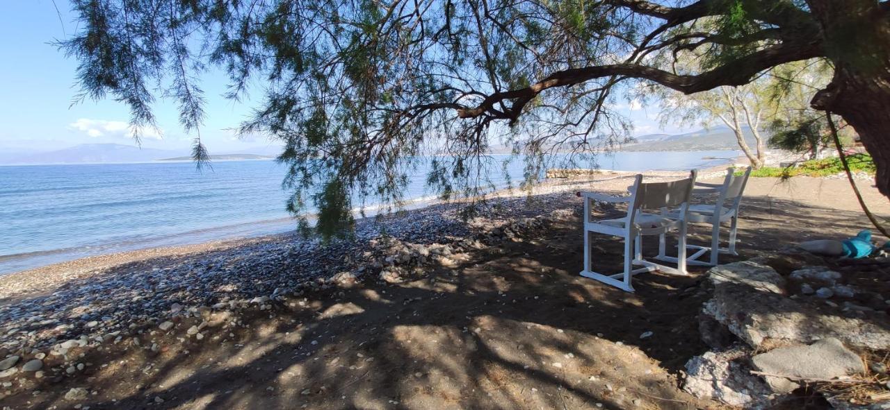 Vikos Beach Apartments Paralia Irion Bagian luar foto