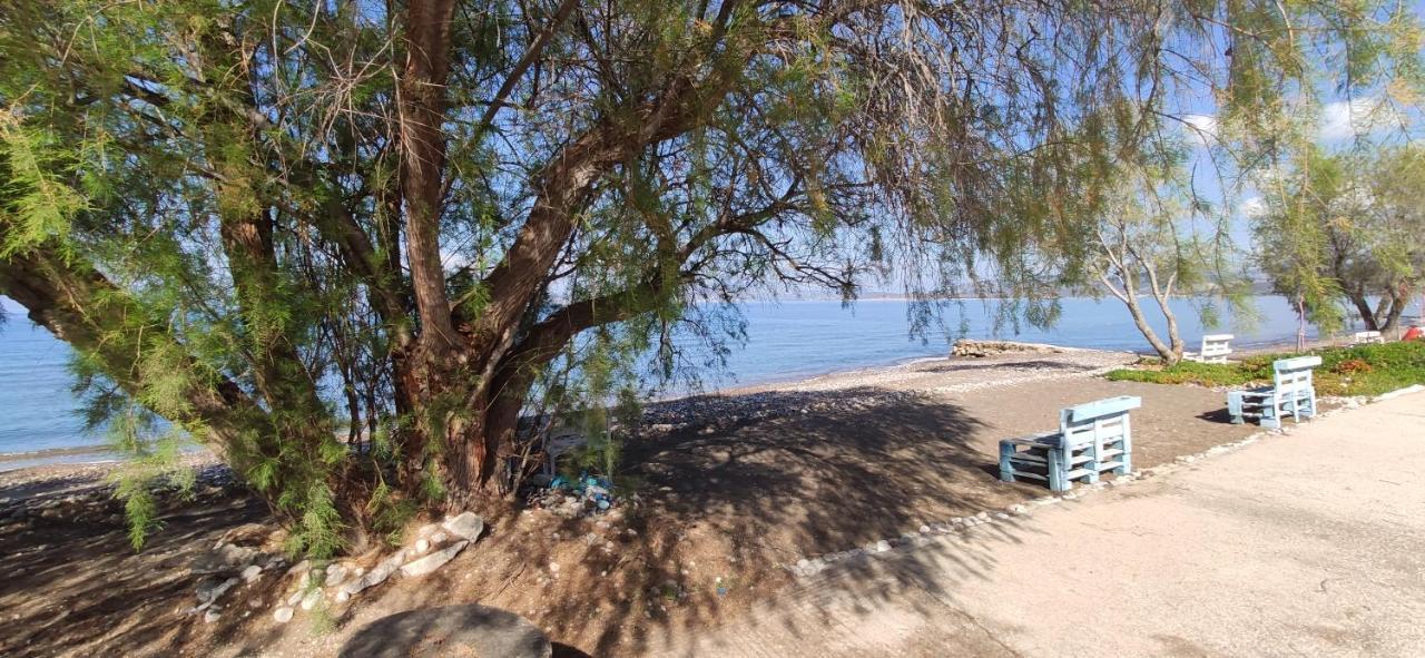 Vikos Beach Apartments Paralia Irion Bagian luar foto