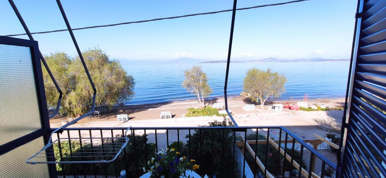 Vikos Beach Apartments Paralia Irion Bagian luar foto