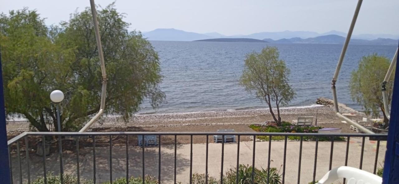 Vikos Beach Apartments Paralia Irion Bagian luar foto