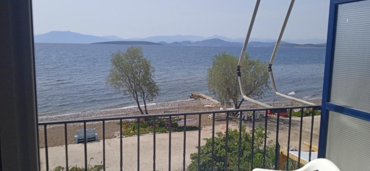 Vikos Beach Apartments Paralia Irion Bagian luar foto