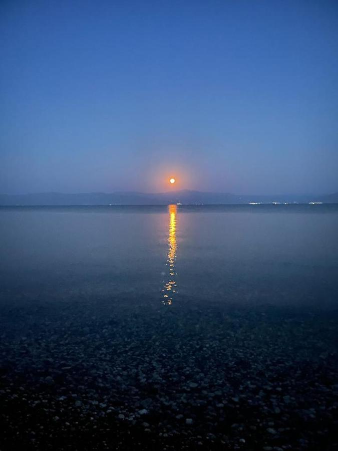 Vikos Beach Apartments Paralia Irion Bagian luar foto